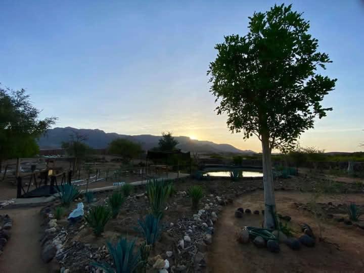 Brandberg White Lady Lodge Uis Luaran gambar