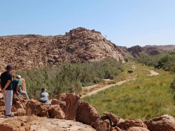 Brandberg White Lady Lodge Uis Luaran gambar