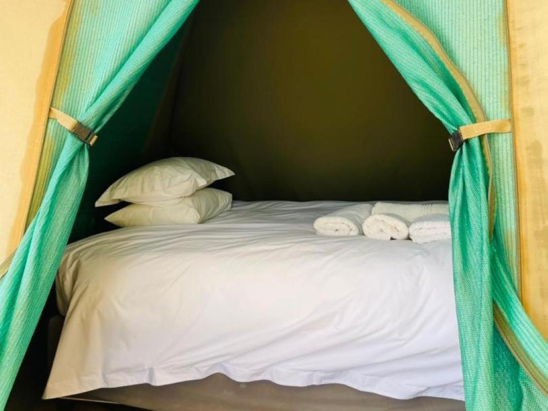 Brandberg White Lady Lodge Uis Luaran gambar