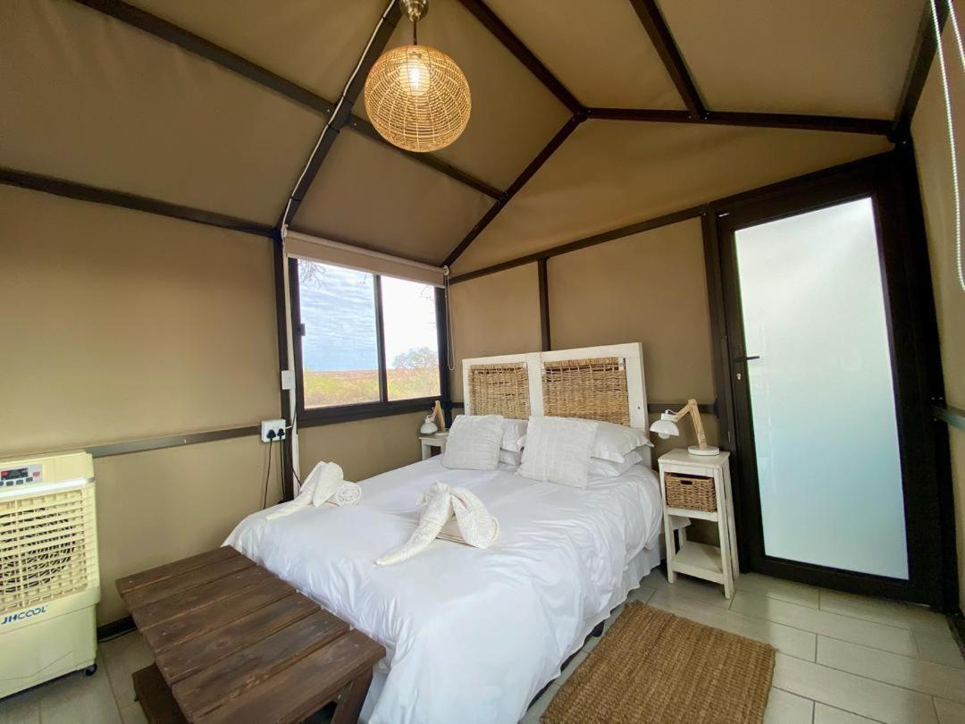 Brandberg White Lady Lodge Uis Luaran gambar