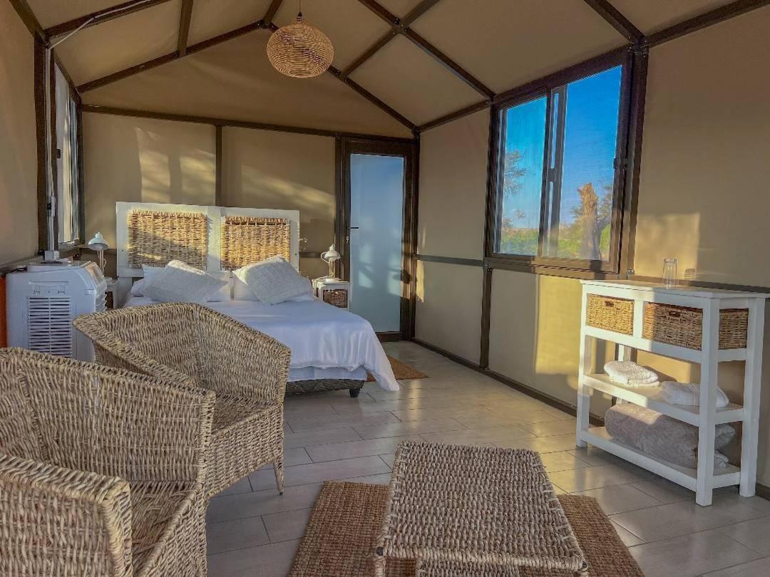 Brandberg White Lady Lodge Uis Luaran gambar