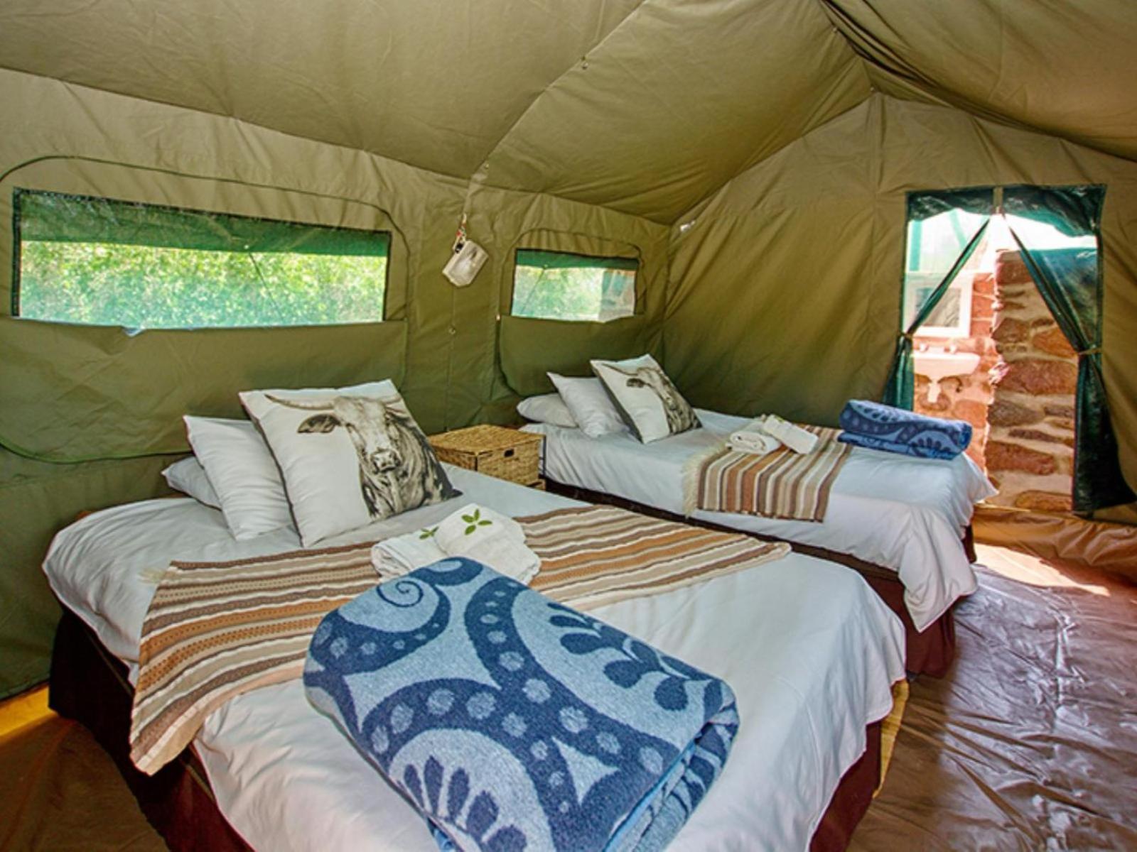 Brandberg White Lady Lodge Uis Luaran gambar